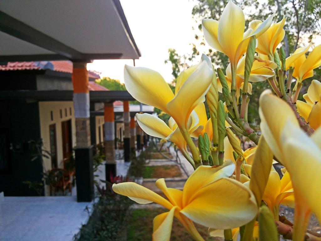 Tregge Surf Camp Uluwatu Hotel Ngoại thất bức ảnh