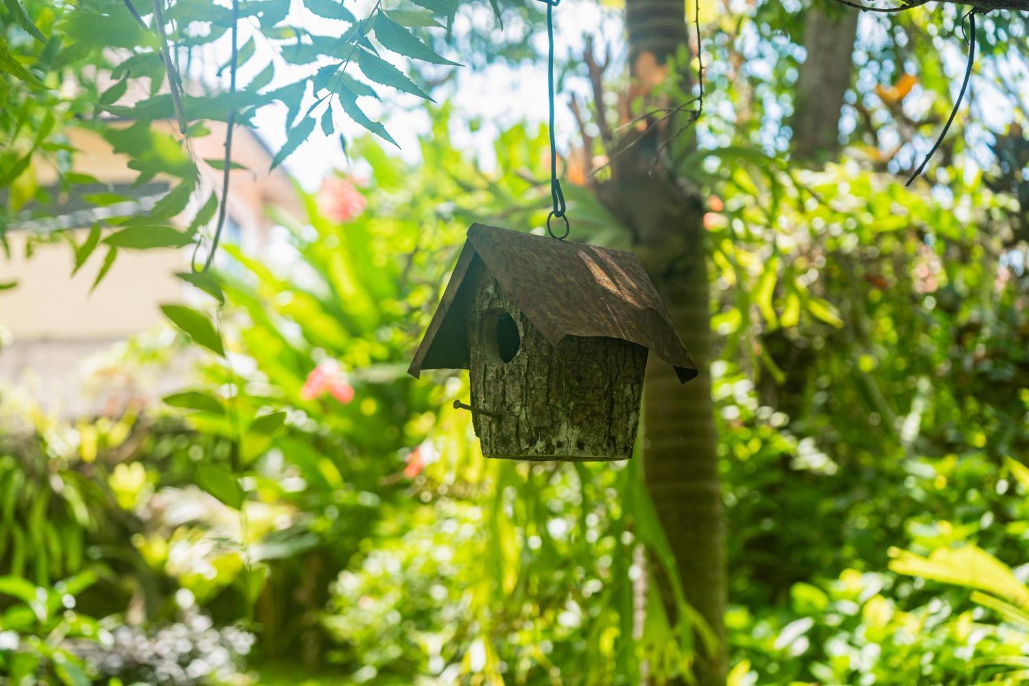 Tregge Surf Camp Uluwatu Hotel Ngoại thất bức ảnh
